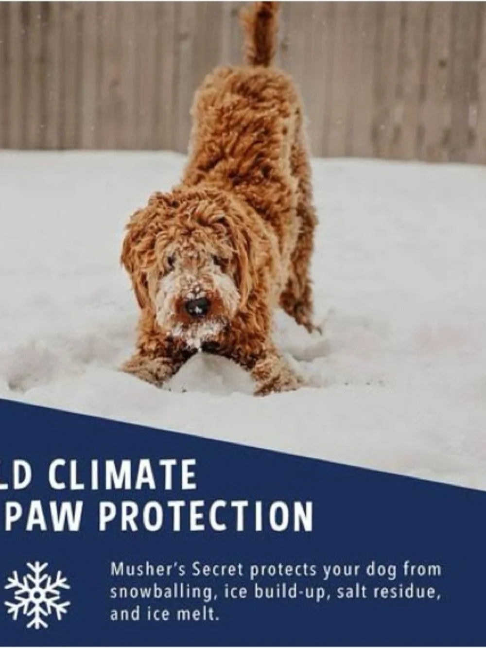 Musher’s Secret Dog Paw Wax